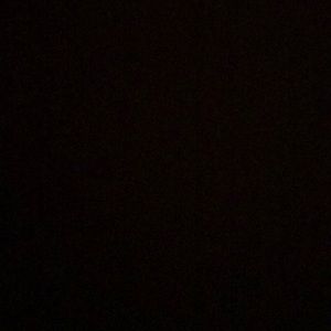 Meet your Posher, Shea